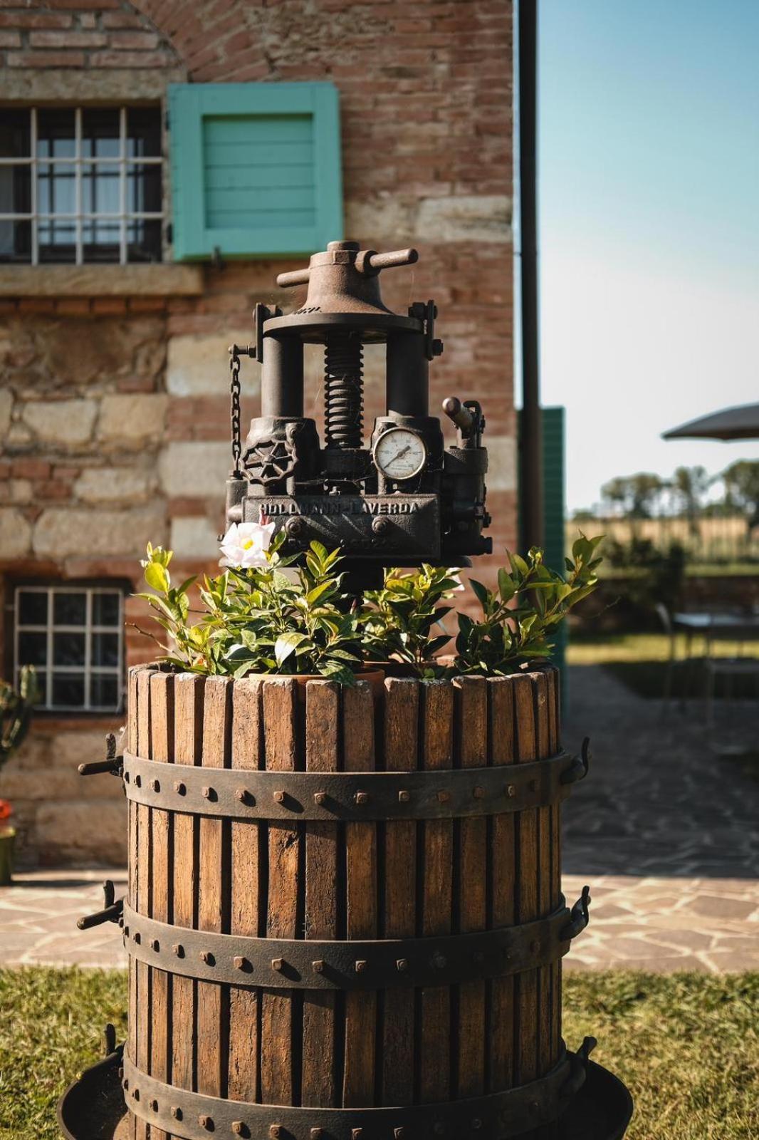 Podere Gli Olmi Cecina (Livorno) Exterior foto